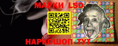 дмт Донской