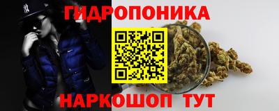 дмт Донской