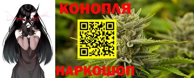 дмт Донской