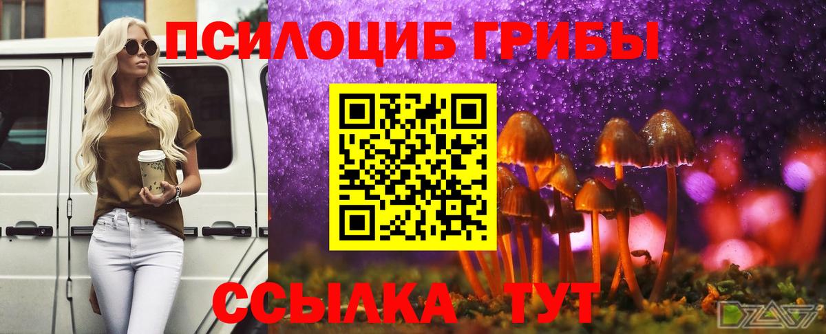 Галлюциногенные грибы MAGIC MUSHROOMS  Галлюциногенные грибы Magic Shrooms  Вход с VPN  Новый Уренгой 