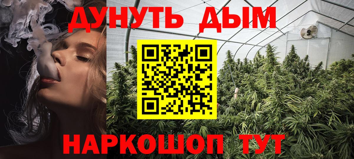 Канабис план Новый Уренгой